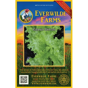 Everwilde Farms Mylar Seed Packet 500 Leisure Coriander Cilantro Herb Seeds Everwilde Farms Mylar Seed Packet 500 Leisure Coriander Cilantro Herb Seeds